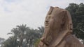 The alabaster sphinx at the open-air museum of Memphis, Egypt