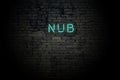 Highlighted brick wall with neon inscription nub