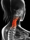 Highlighted cervical spine Royalty Free Stock Photo