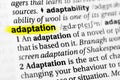 Highlighted English word `adaptation` and its definition in the dictionary