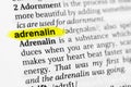 Highlighted English word `adrenalin` and its definition in the dictionary