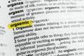 Highlighted English word orgasmic and its definition at the dictionary.