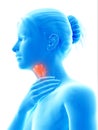 Highlighted larynx Royalty Free Stock Photo