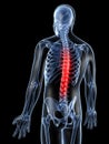 Highlighted male spine Royalty Free Stock Photo