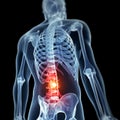 Highlighted male spine Royalty Free Stock Photo