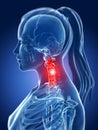 Highlighted neck Royalty Free Stock Photo