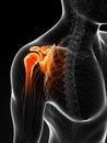 Highlighted painful shoulder Royalty Free Stock Photo