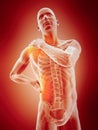 Highlighted parts of the human body Royalty Free Stock Photo