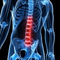Highlighted spinal cord Royalty Free Stock Photo