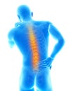 Highlighted spine Royalty Free Stock Photo