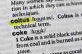 Highlighted word coitus concept and meaning