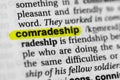 Highlighted word comradeship concept and meaning