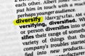 Highlighted word diversify concept and meaning