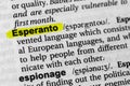 Highlighted word esperanto concept and meaning