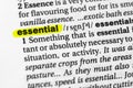 Highlighted word essential concept and meaning