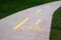 Highlighted in yellow paint is a bicycle path in a city park