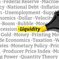 highlighter highlights the word liquidity vector