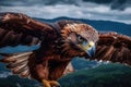 Majestic Birds of Prey