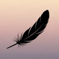 Highlights the contrast between the solid black feather and the Royalty Free Stock Photo