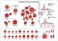 Highlights differences in size and shape related to various hematological Royalty Free Stock Photo