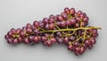 Highlights the natural distribution and compactness typical of grape Royalty Free Stock Photo