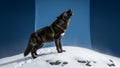 Highlights the wolf s form and the crispness of the snow creating a Royalty Free Stock Photo