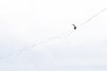 Highline on the background of the cloudy sky makes a move Royalty Free Stock Photo