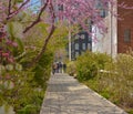 The Highline is an Elevated Public Park on the West Side of NYC Royalty Free Stock Photo