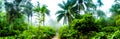 A highly colour image of forest landscape with palm trees and a path