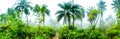 A highly colour image of forest landscape with palm trees and a path