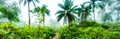 A highly colour image of forest landscape with palm trees and a path