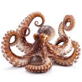 A highly detailed and creative image of an octopus with a twist, where its tentacles cleverly transition into mechanical gears