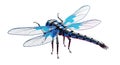 Futuristic Robotic Dragonfly with Blue Neon Accents Royalty Free Stock Photo