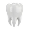 Realistic 3D Render of a White Human Tooth with Three Roots on White Background dental Royalty Free Stock Photo