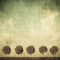 Highly detailed grunge image of trees