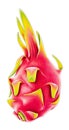 Highly detailed high quality realistic dragonfruit illustration