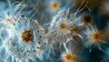 A highly detailed image of pollen grains in the process of germination with delicate tendrils and intricate structures