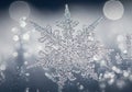 A highly detailed macro image of a snowflake, showcasing its Royalty Free Stock Photo