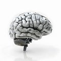 Isolated Robotic Brain with Engine Components in white background