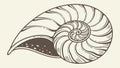 Intricate Nautilus Shell Vector Illustration Marine, vector design Generative AI Royalty Free Stock Photo