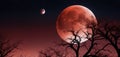 A highly detailed view of a lunar eclipse, with the Moon in a deep red Royalty Free Stock Photo