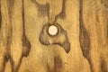 Highly Detailed Wood Grain