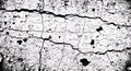 Cracked Grunge Peeling Paint Black White Texture Royalty Free Stock Photo