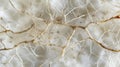 A highly magnified image of a single strand of mycelium showing its branching structure and delicate texture. .