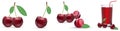 Highly realistic vector ripe juicy cherry, natural texture. Templates advertising juice, healthy lifestyle, diet