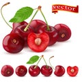 Sweet Vector 3D Realistic Cherry, isolated on white background. Royalty Free Stock Photo