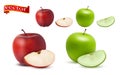 Highly realistic vector ripe juicy red and green apples with slices, natural texture.