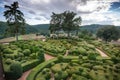 Highly shaped Ornate Box Hedges