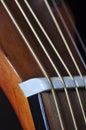 Highly Strung, Acoustic Guitar Detail Macro Royalty Free Stock Photo