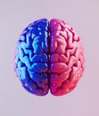 highly stylized, glossy brain split into two halves Royalty Free Stock Photo